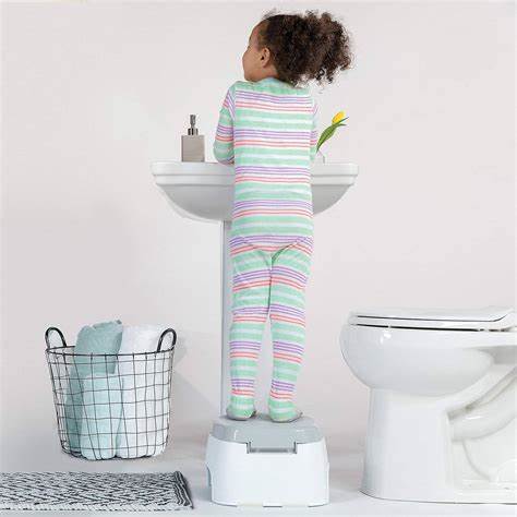 Summer Infant 2-In-1 Step Up Potty