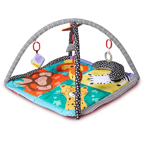 Wild Safari Play Gym