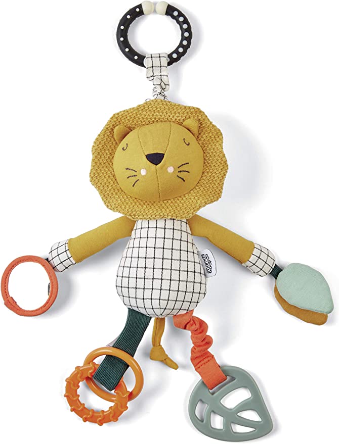 Wildly Adventures Educational Toy - Jangly Lion